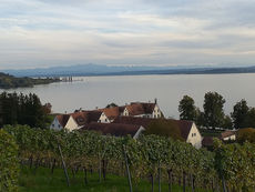 Erkundung von Heimerads Heimat Hilzingen, Hohentwiel, Konstanz, Birnau